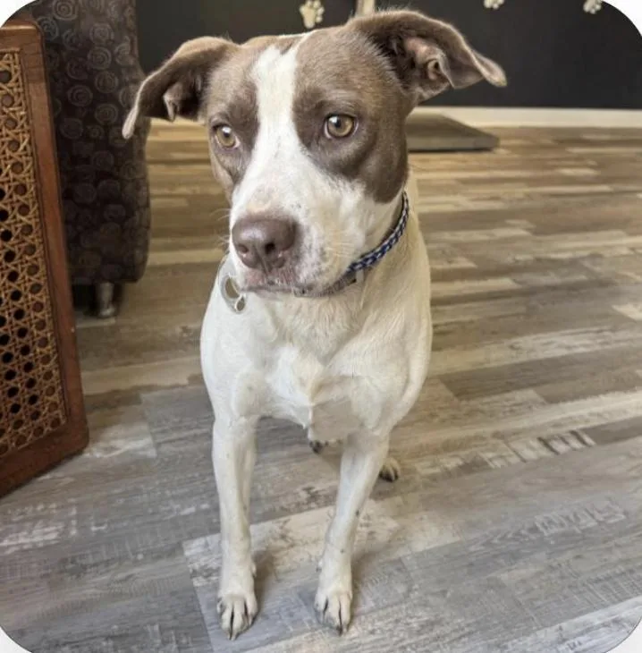 Isabella thumbnail 3