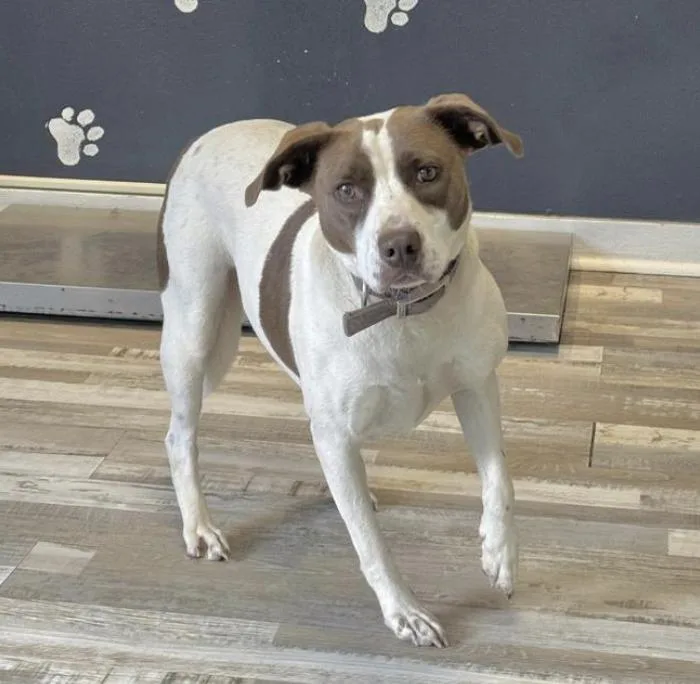 Isabella thumbnail 4