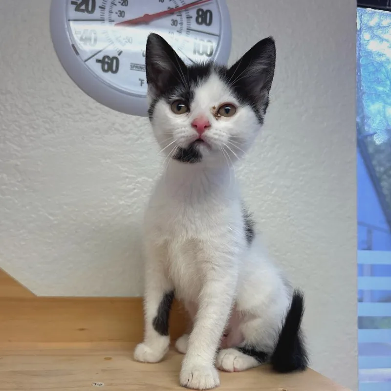 Daisy Mae thumbnail 2