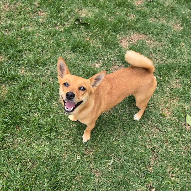 Rita