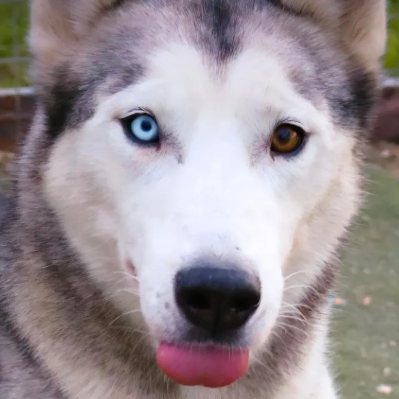 Cisco Jum thumbnail 6