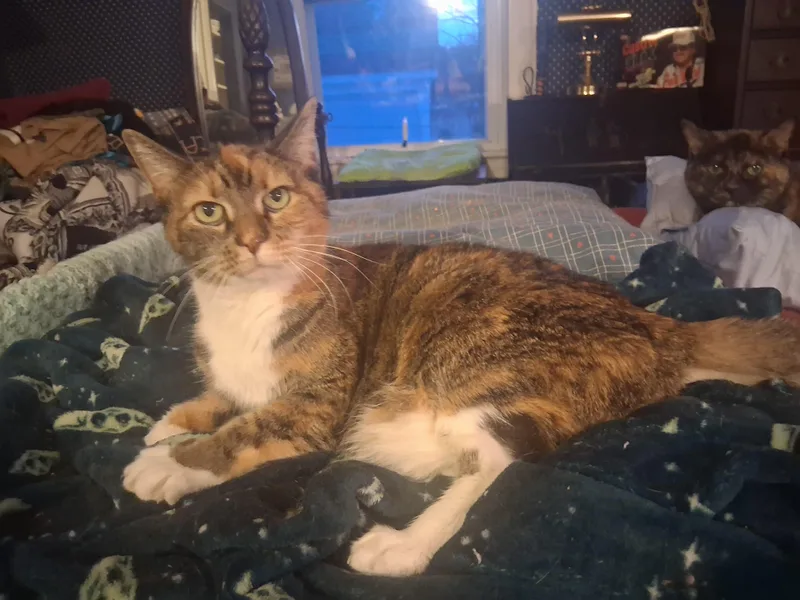 Maisy Special Needs:  thumbnail 2