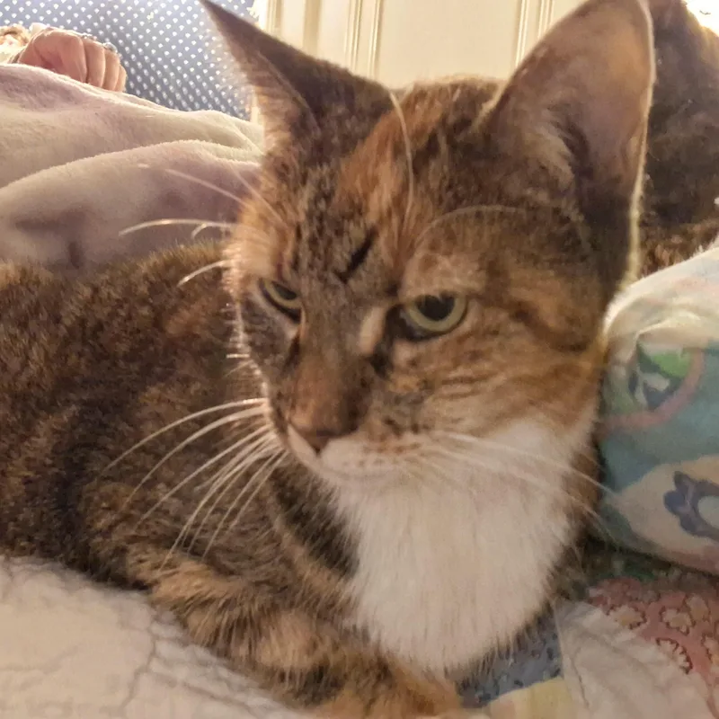 Maisy Special Needs:  thumbnail 3