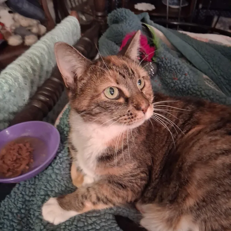 Maisy Special Needs:  thumbnail 5