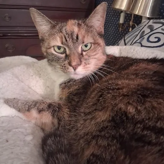 Maisy Special Needs:  thumbnail 6
