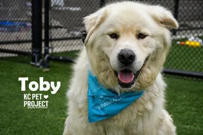 Toby