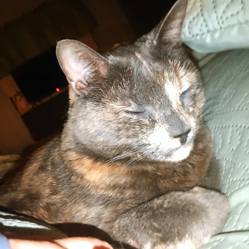 Kallie thumbnail 2