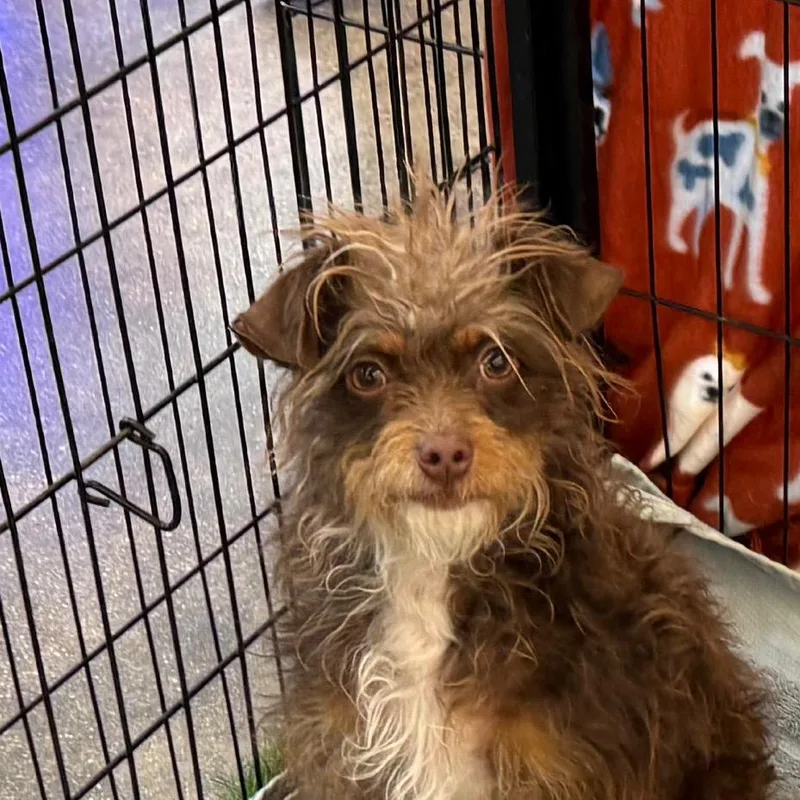 Miss Frizzle thumbnail 2