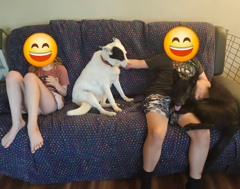 Layla thumbnail 4