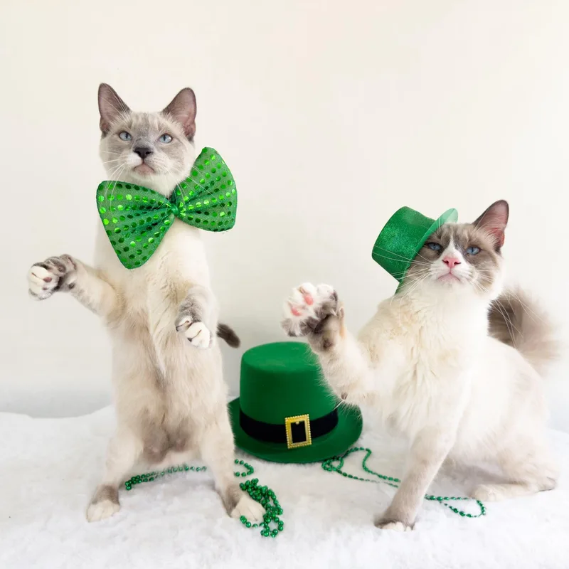 Milton & Morgan thumbnail 2