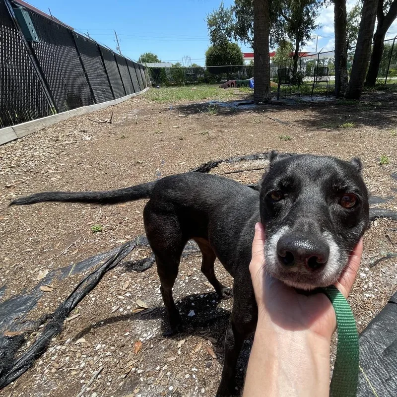 Sasha thumbnail 2