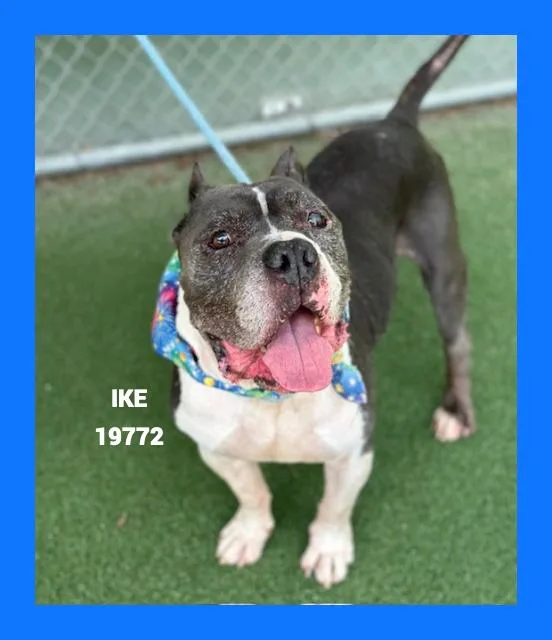 Ike thumbnail 2