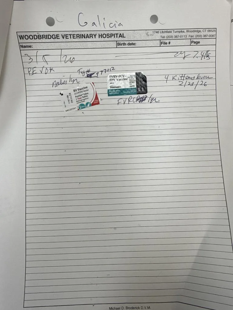 Galician thumbnail 2