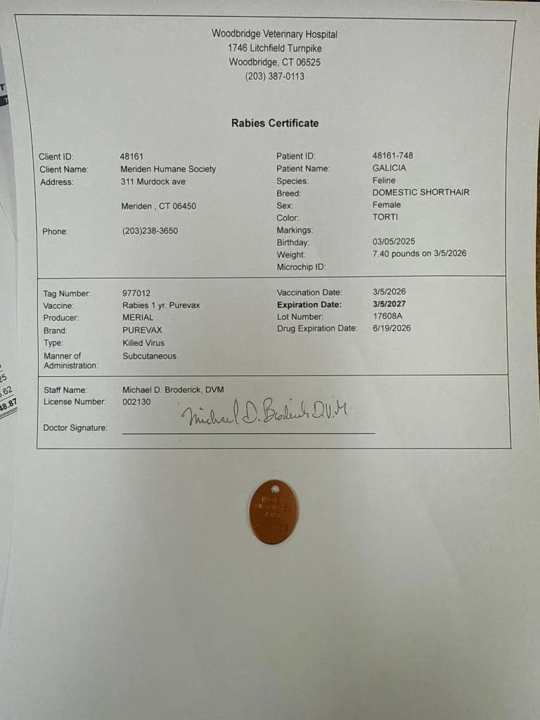 Galician thumbnail 3