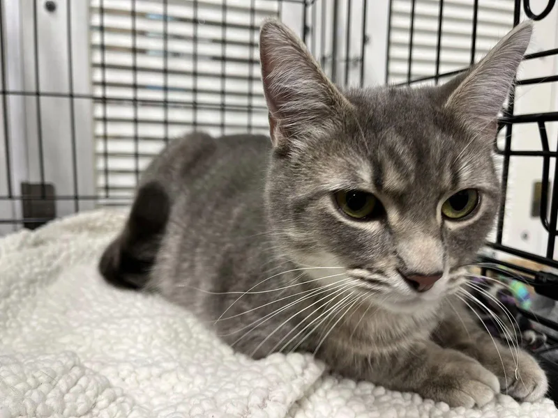 Mama Isabella thumbnail 3