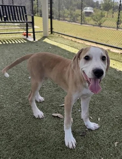 Serenity thumbnail 2