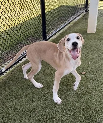 Serenity thumbnail 3