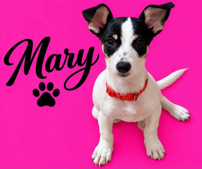 Mary thumbnail 2