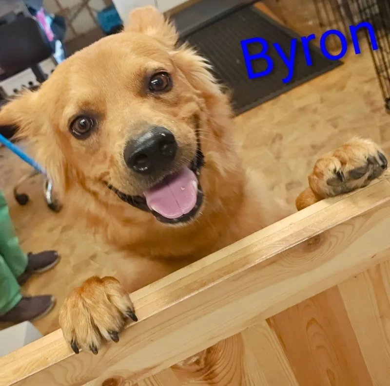 Buster