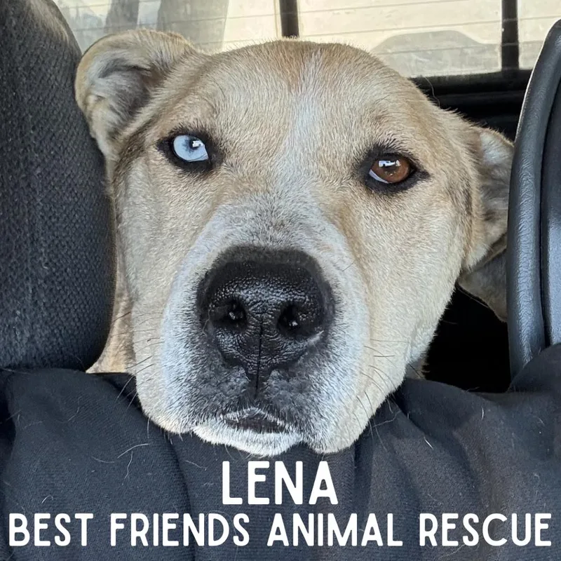 Lena