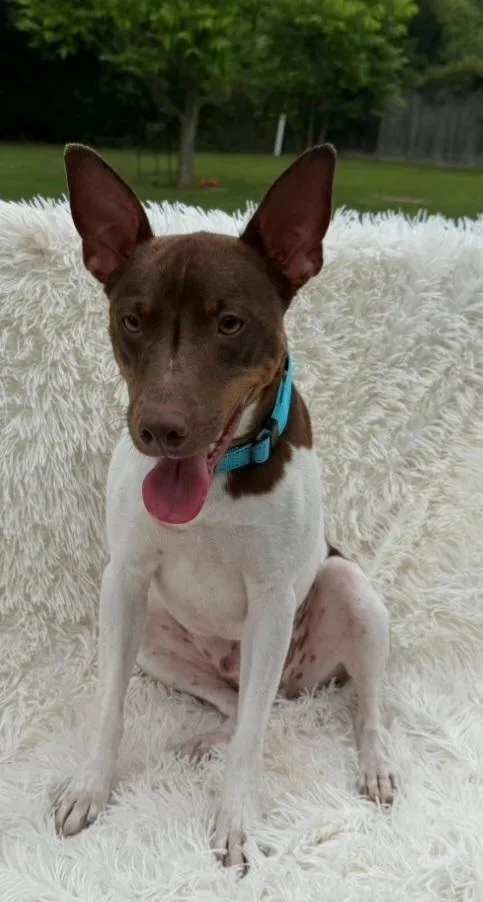 Axel