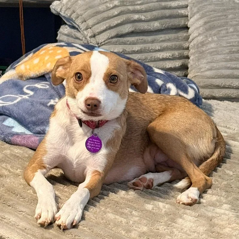 Rhiannon thumbnail 3