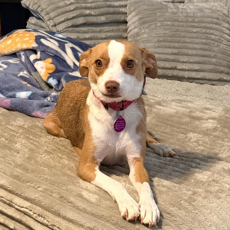 Rhiannon thumbnail 5