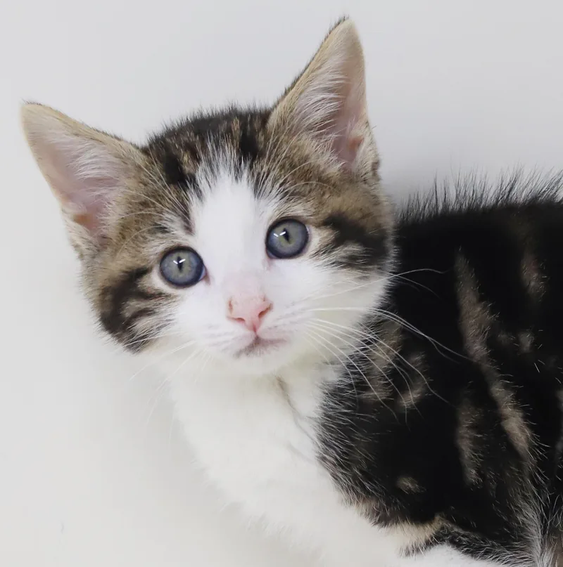 Mo is a baby thumbnail 2