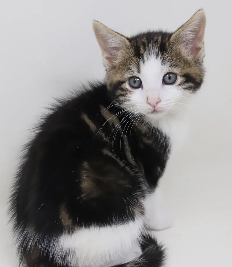 Mo is a baby thumbnail 3