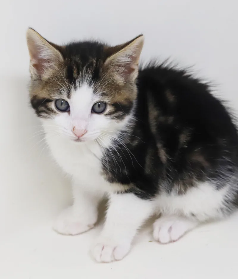 Mo is a baby thumbnail 4