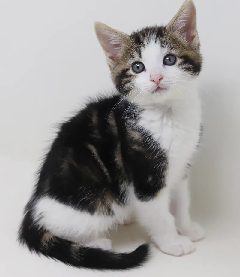 Mo is a baby thumbnail 5