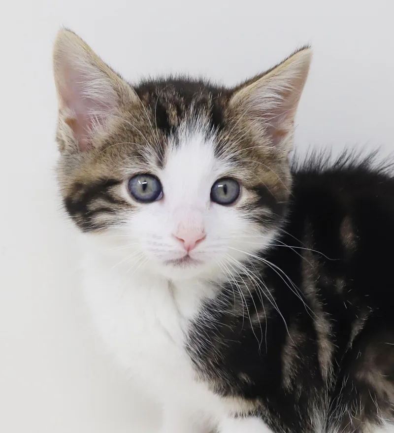 Mo is a baby thumbnail 6