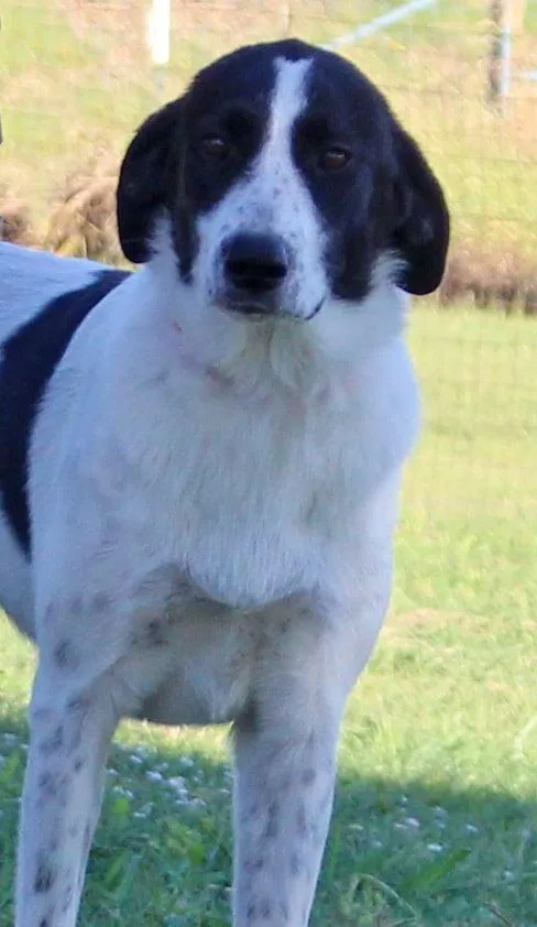 Maggie thumbnail 3