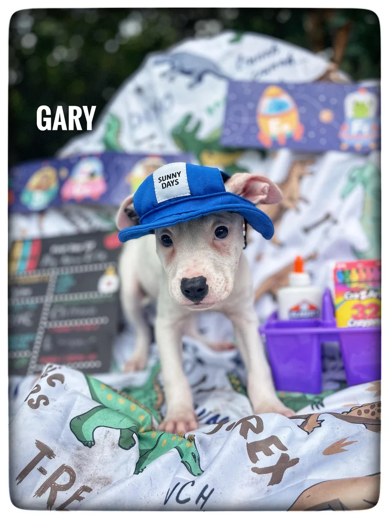 Gary thumbnail 4