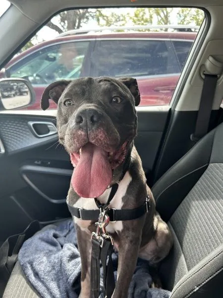 Princess thumbnail 2