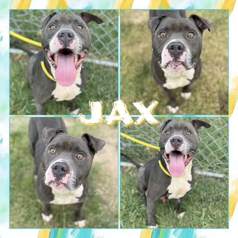 Jax