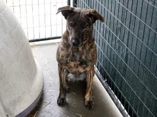 Princess thumbnail 6