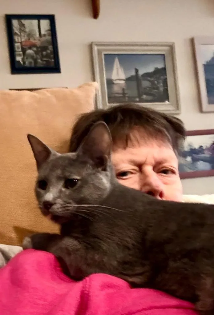 Raindrop thumbnail 2