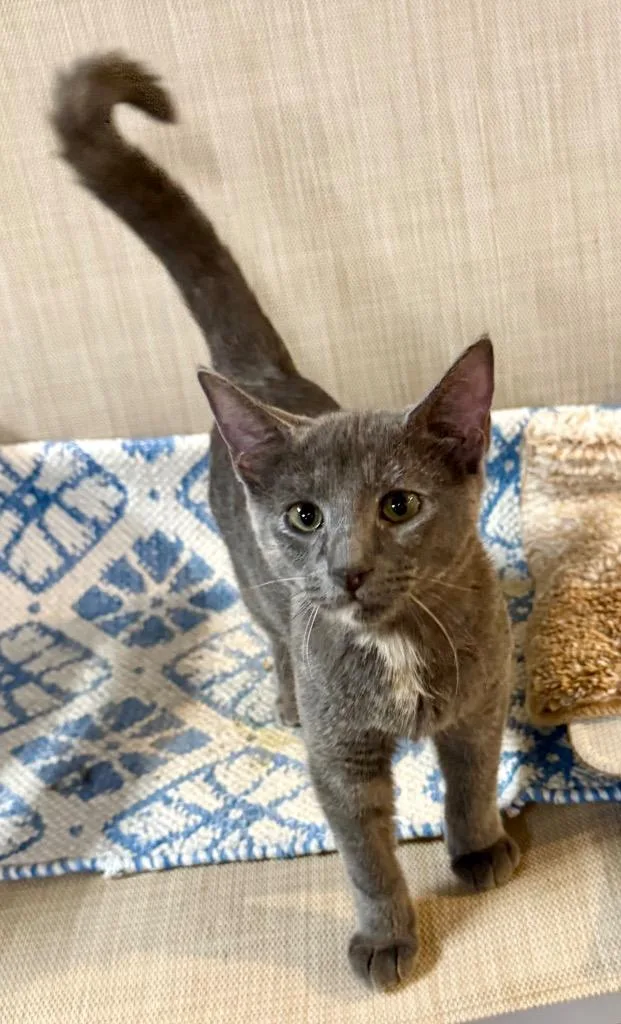 Raindrop thumbnail 3