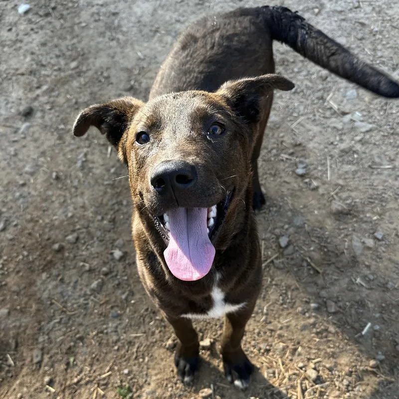 Bill Board thumbnail 2