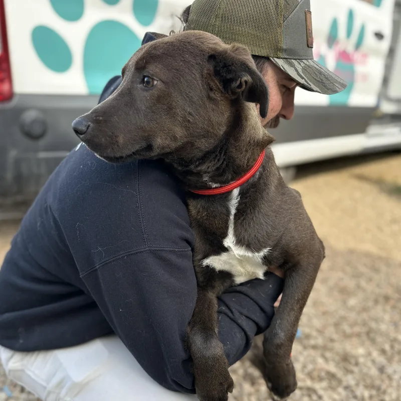 Bill Board thumbnail 3