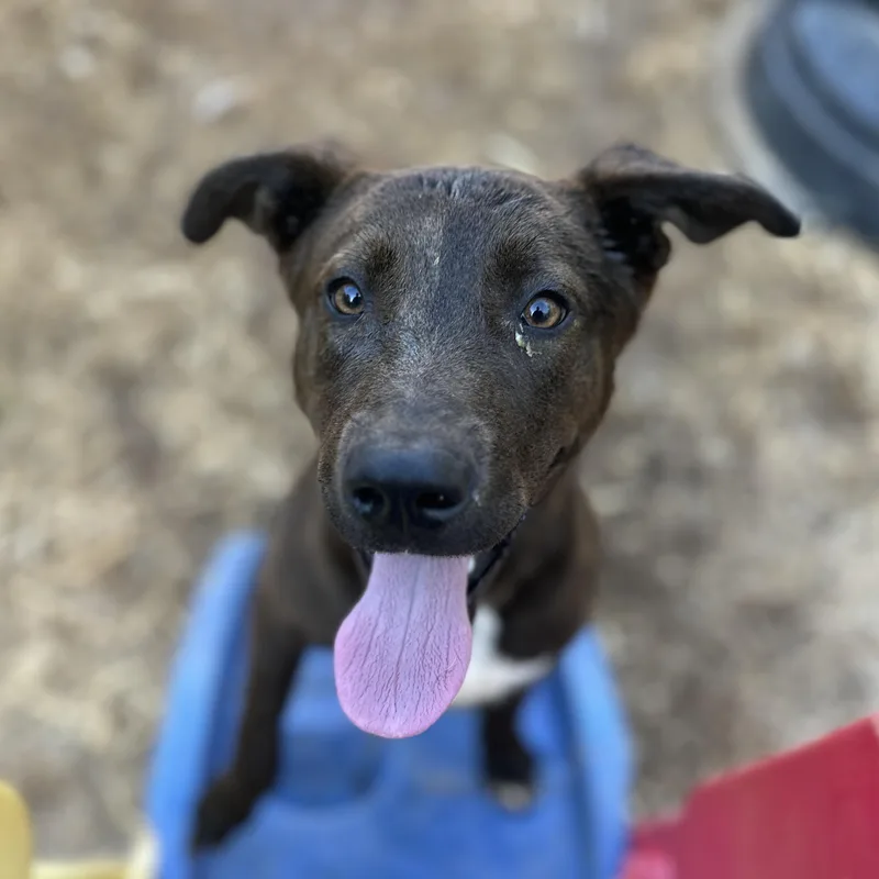 Bill Board thumbnail 6