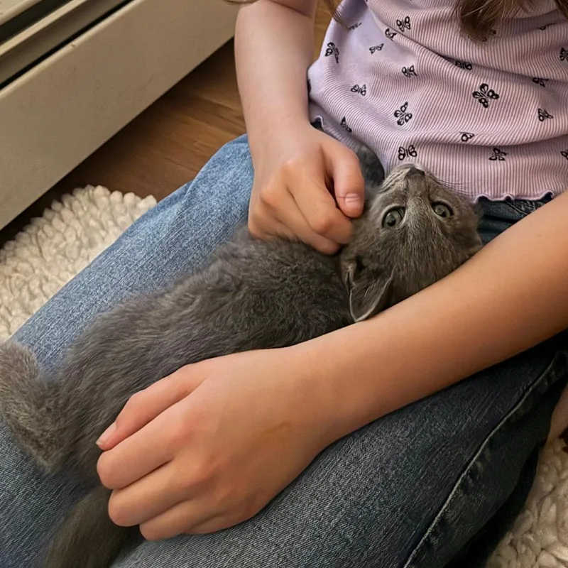 Raisin thumbnail 4