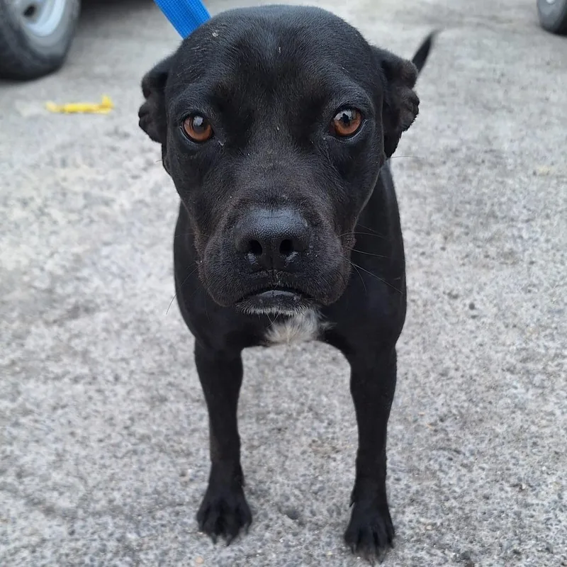 Margarita thumbnail 2