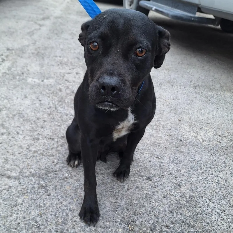 Margarita thumbnail 3