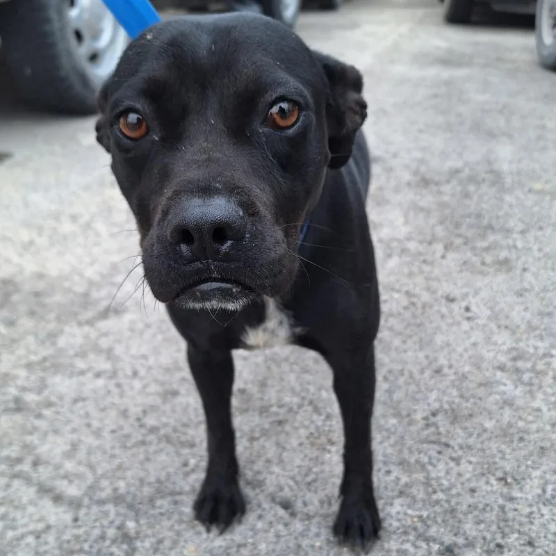 Margarita thumbnail 4