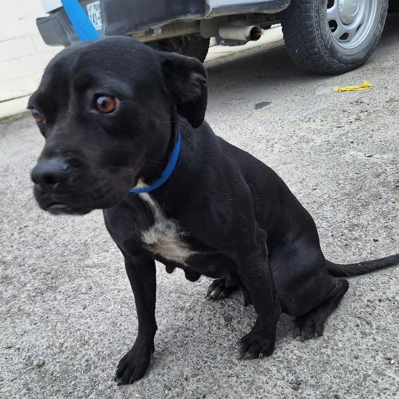 Margarita thumbnail 5