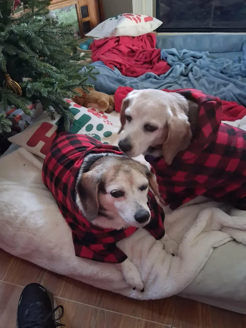 Sally And Marcie thumbnail 2