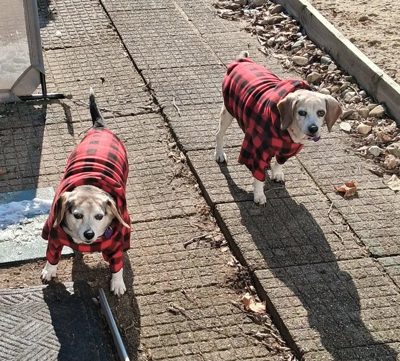 Sally And Marcie thumbnail 3