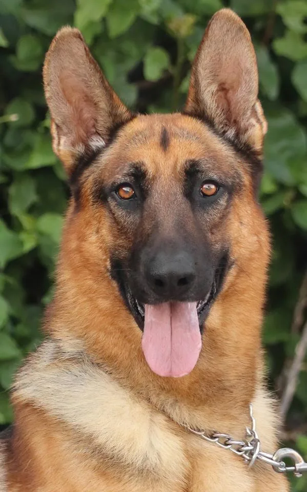 Barkley von Blaustein thumbnail 2